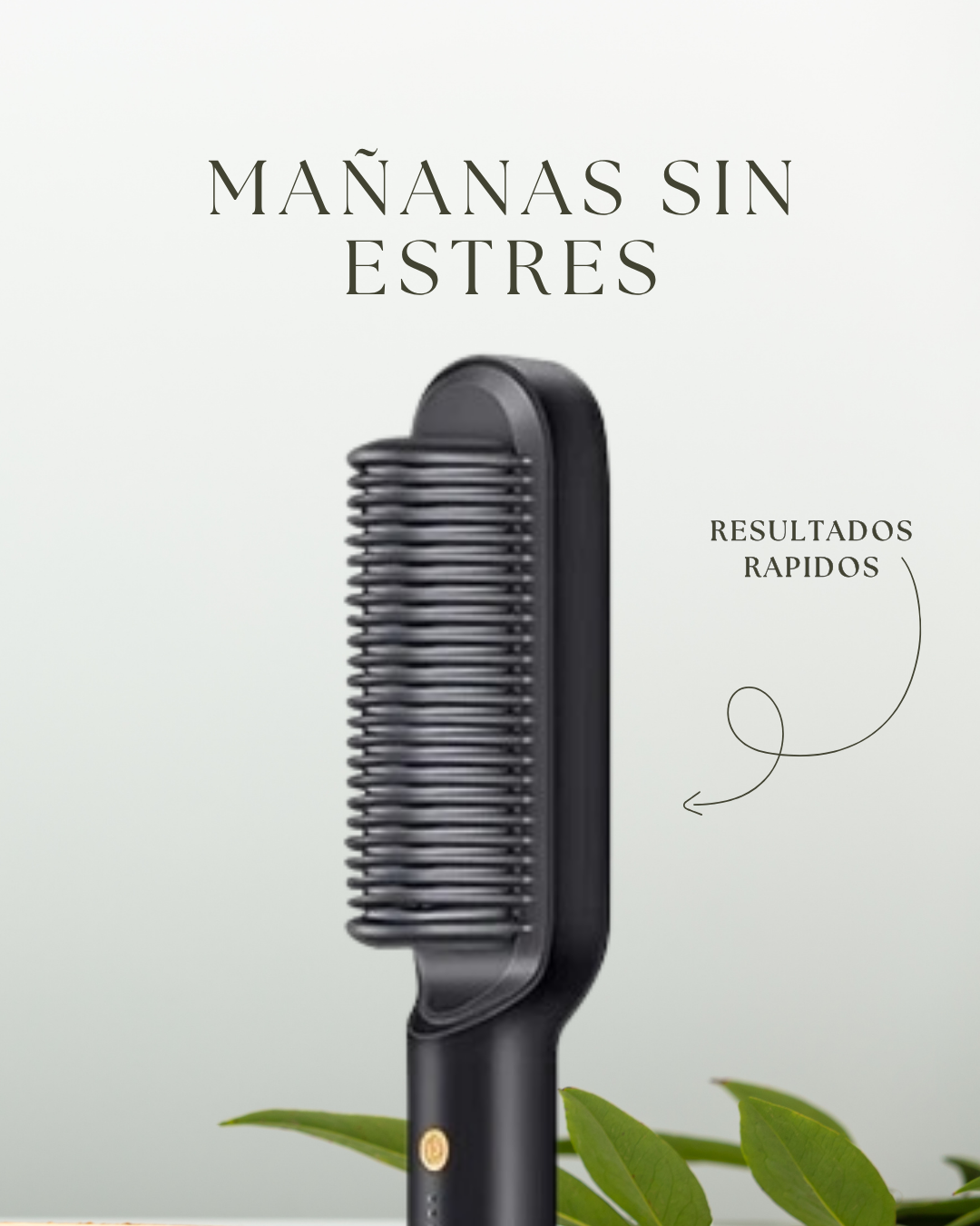 Cepillo Alisador HairEase