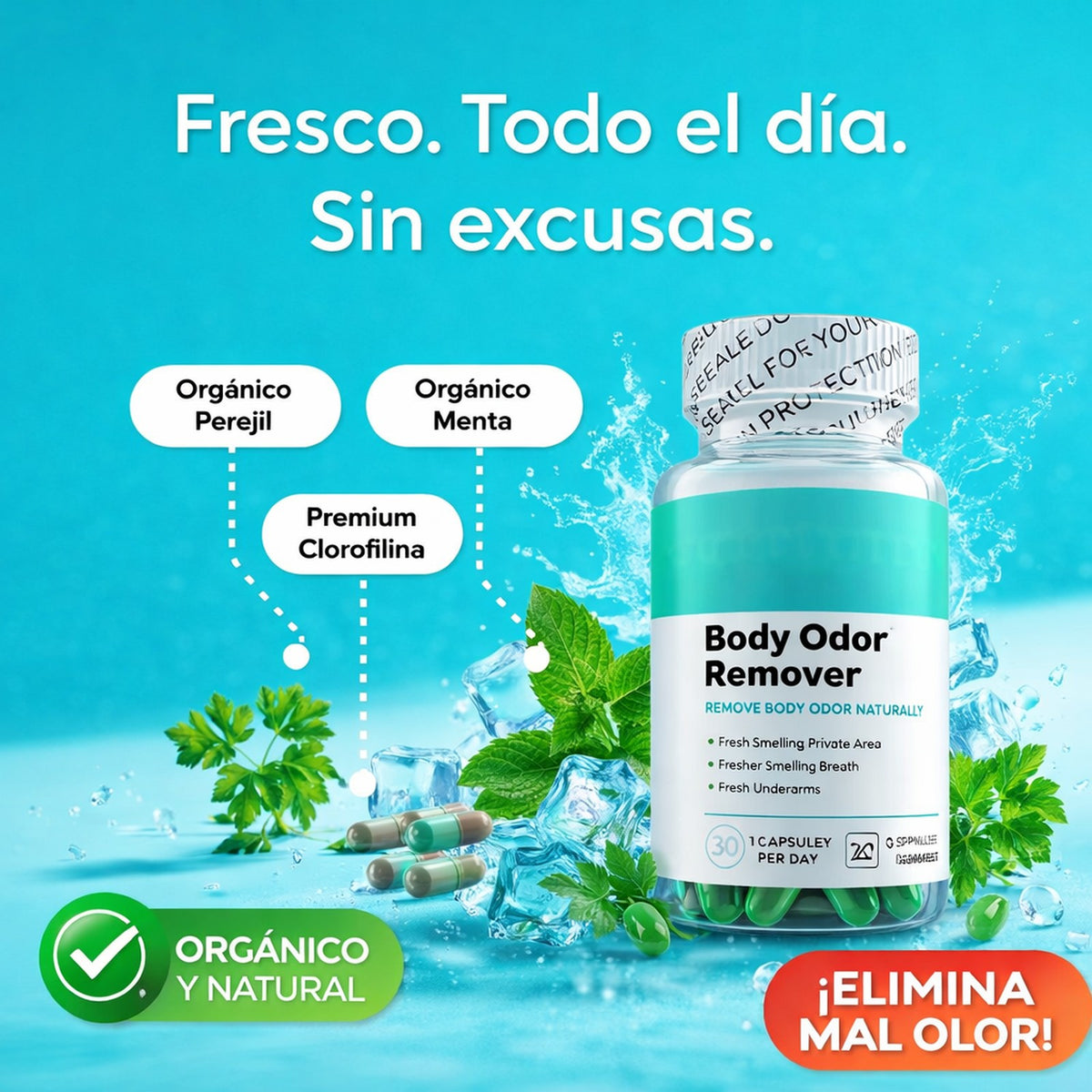 Desodorante Corporal Natural en Capsulas - foto de catálogo